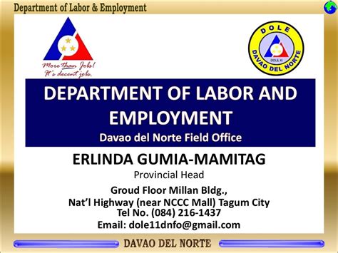 DOLE Government Internship Program (GIP) .